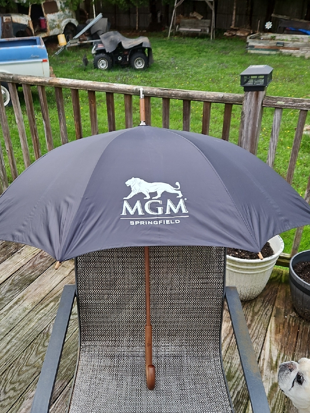 Extra Large Black Umbrella with Wooden Crook Handle MGM Logo